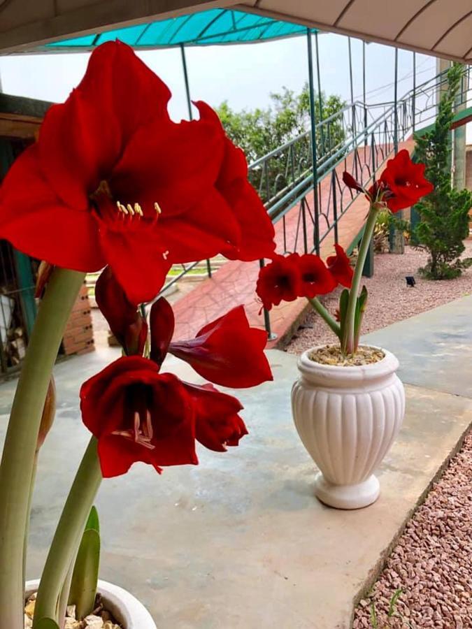 Hotel Blumenpark Rio Negro  Екстериор снимка